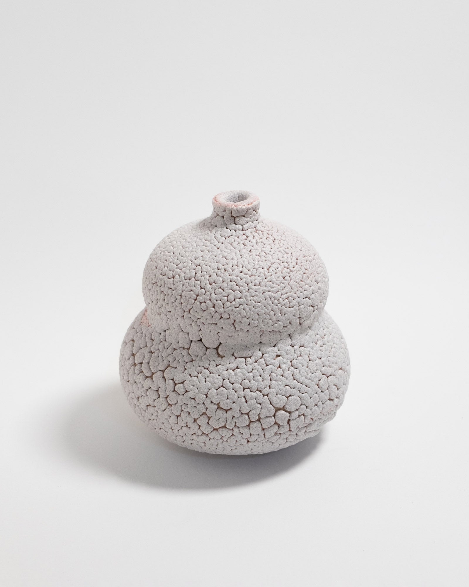 Amanita 01