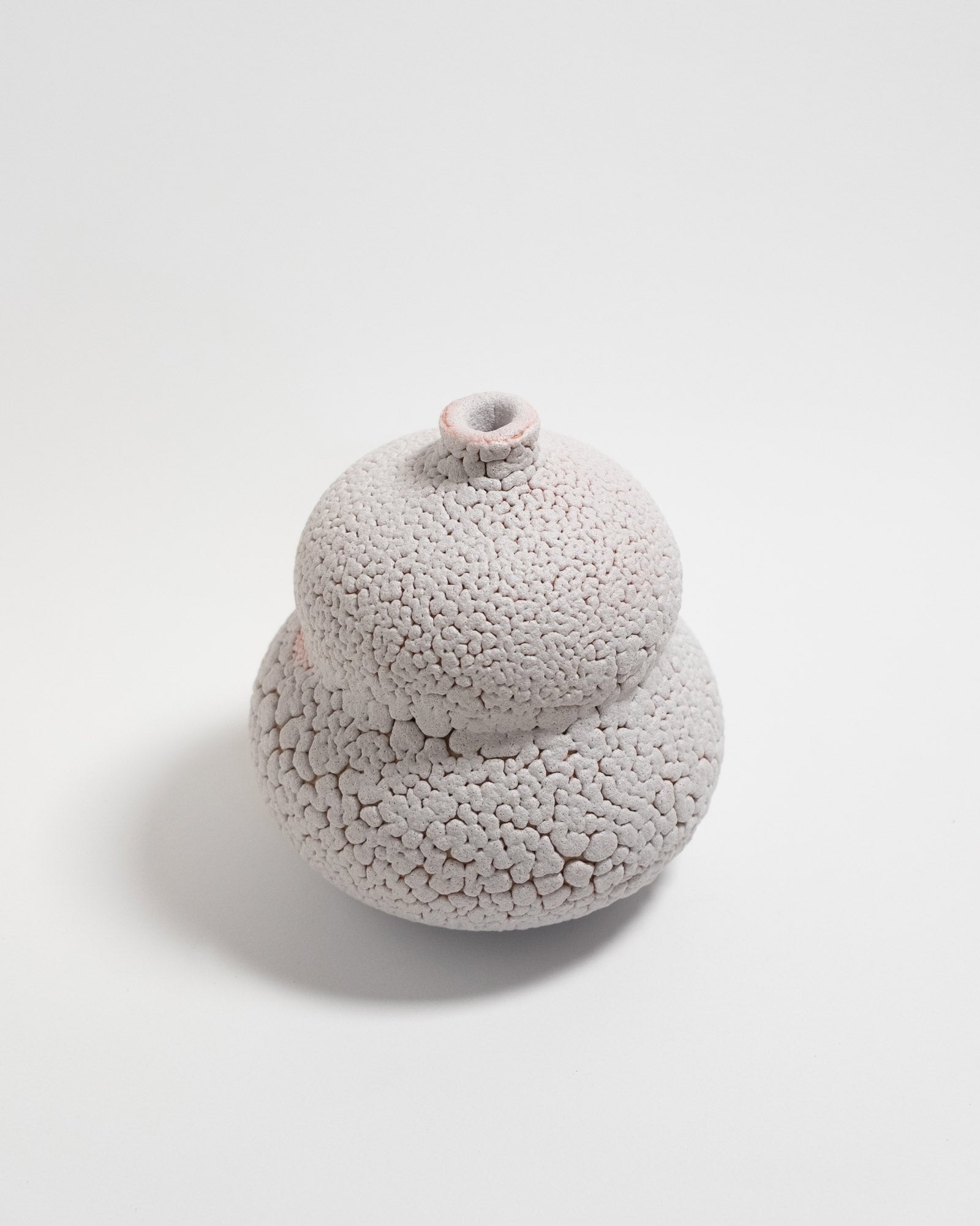 Amanita 01