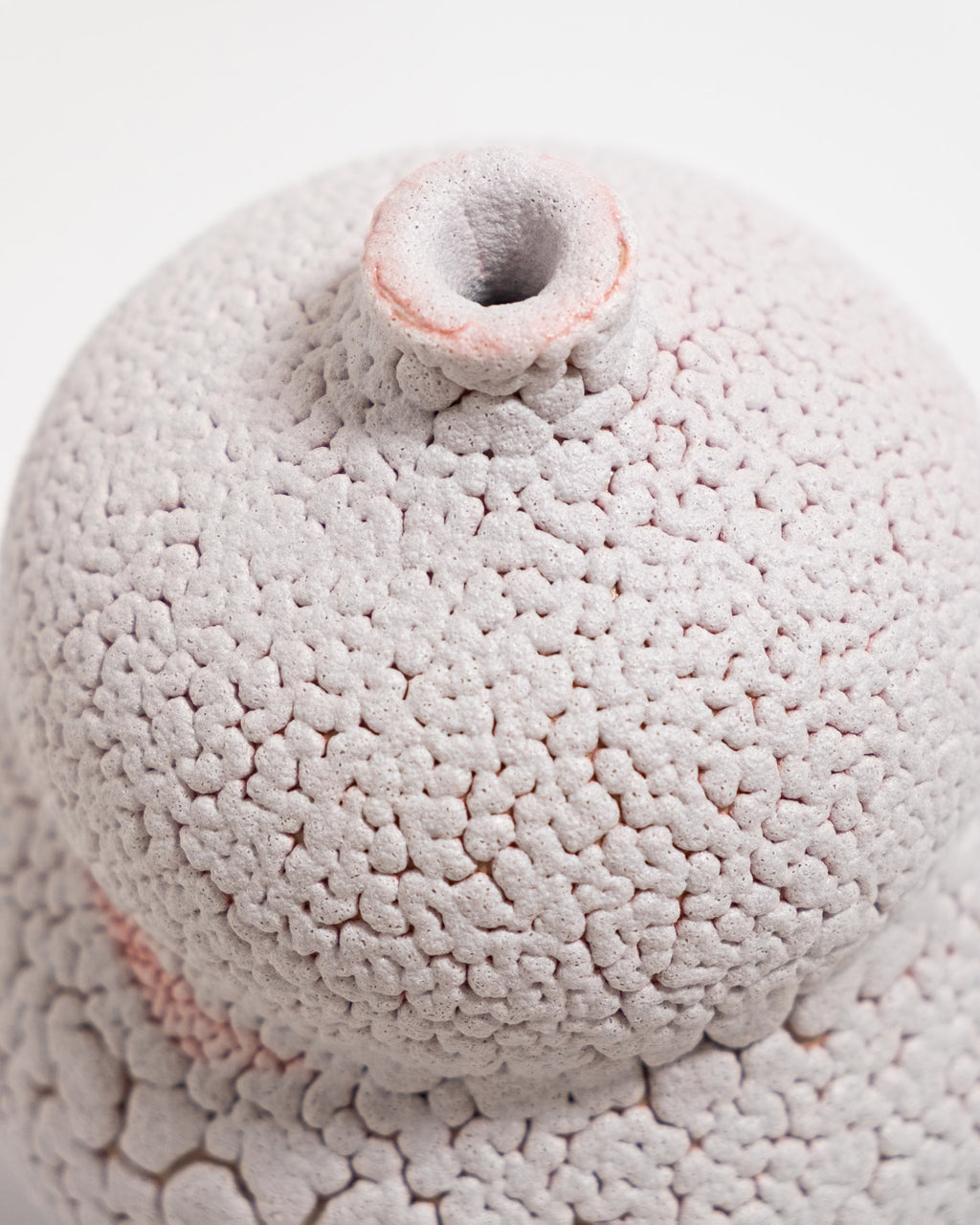 Amanita 01