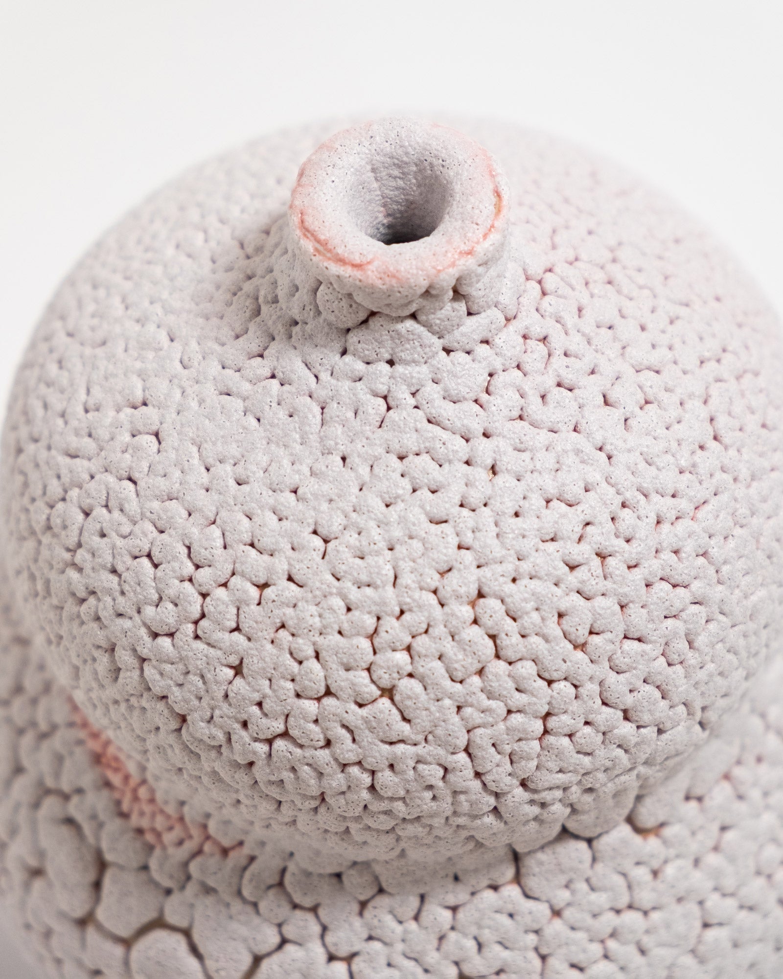 Amanita 01