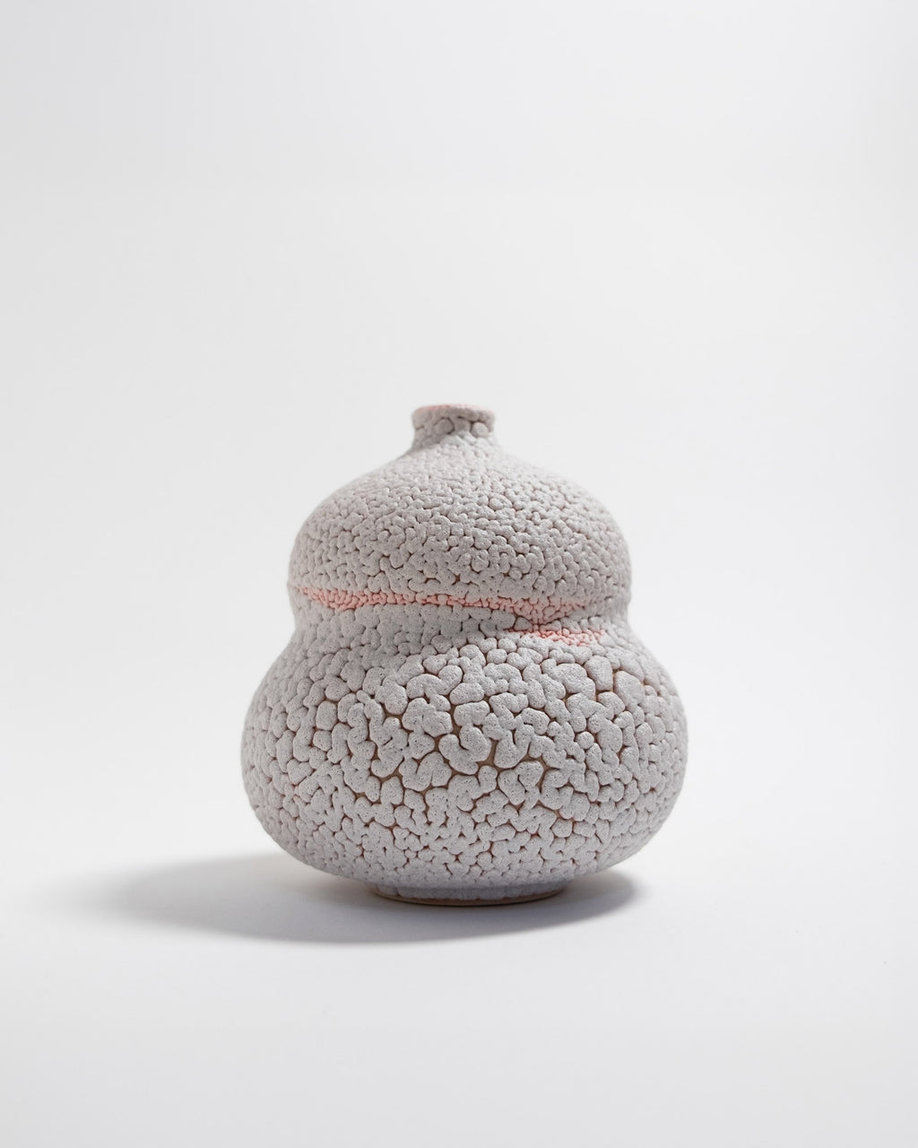 Amanita 01